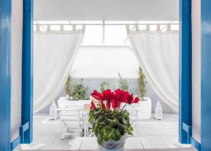 Iokasti * Fira (Santorini)